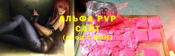 стаф Горняк
